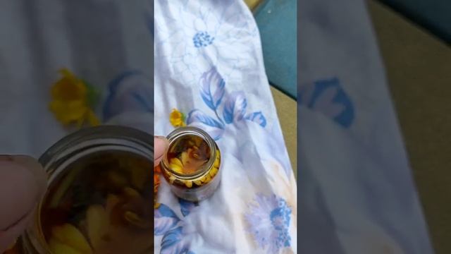Как сделать полезный настой для заживления ран?из Календулы смотреть онлайн