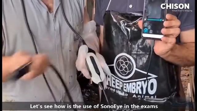 Horse Reproduction Using The Handheld Ultrasound SonoEye