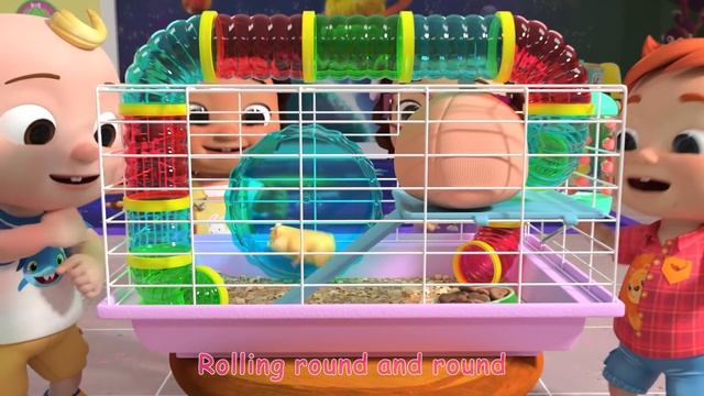 Class Pet Song | CoComelon Nursery Rhymes & Kids Songs смотреть онлайн