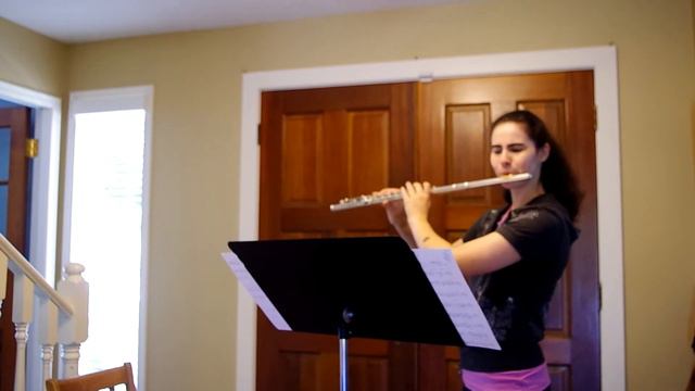 Joseph Haydn Flute Concerto in D major, Hob. VIIf D1 смотреть онлайн