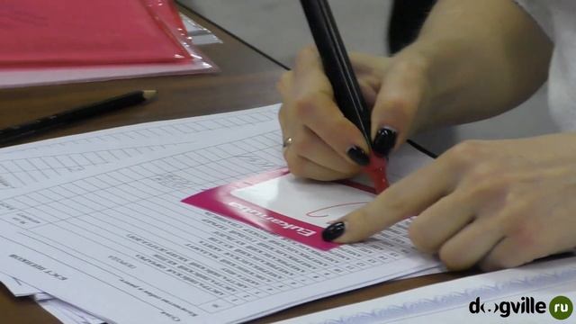 Выставка собак по этапам - СКОР Выставка 2021 - Как проходят выставки собак всех пород смотреть онлайн