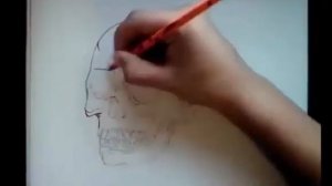 Как Нарисовать ЧЕРЕП Карандашом
