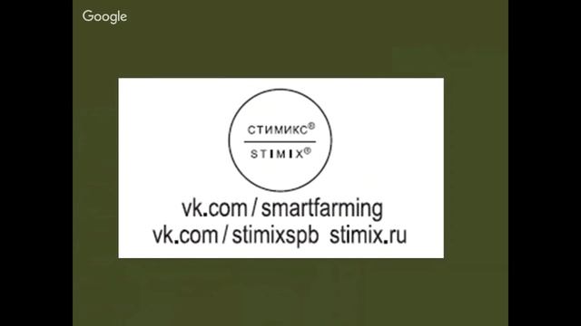 Природное земледелие дома: как вырастить полезные овощи и пряности на кухне смотреть онлайн