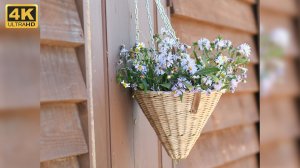 Подвесное кашпо на цепочке.