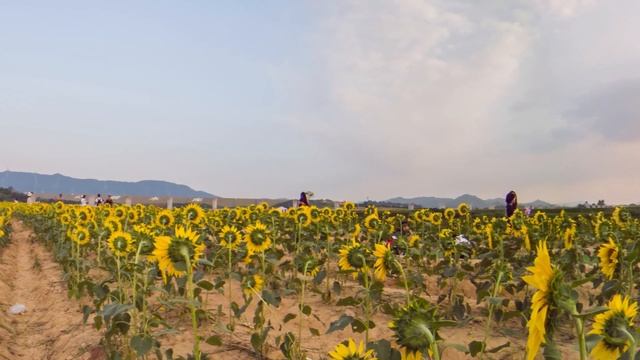 QooCam 360° 8K Camera – Review & Reframing | Filmmaking Today смотреть онлайн