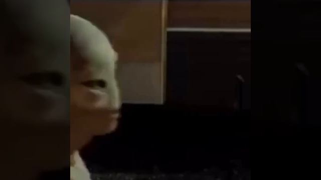 Paul The Alien (From The Movie “Paul”) Dancing For 1 Hour, 40 Minutes, And 39 Seconds