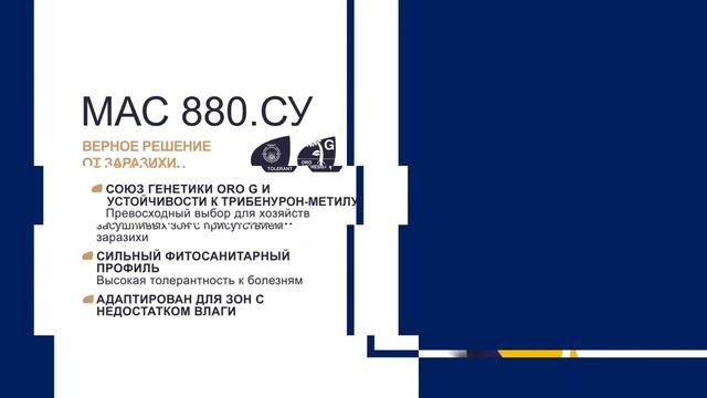 МАС 880.СУ: решительный отпор заразихе! смотреть онлайн