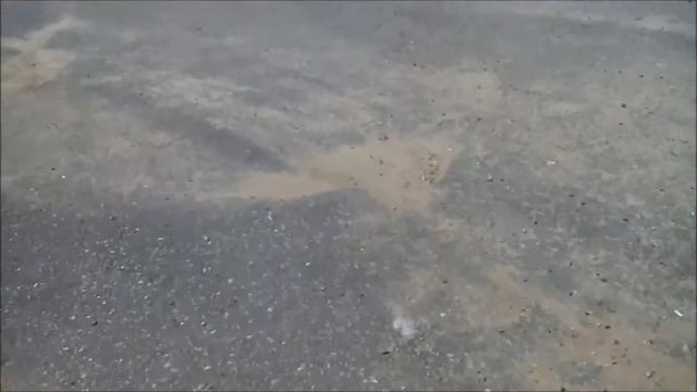 ЦПП ГИБДД смотреть онлайн