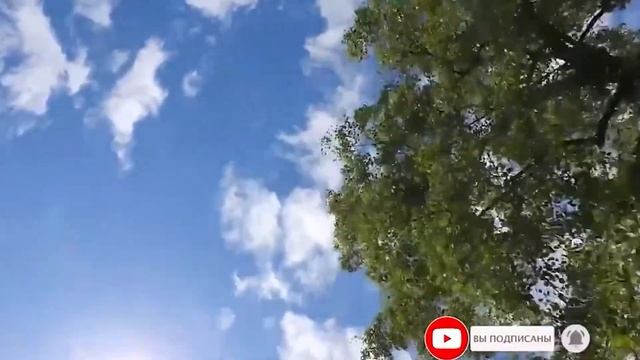 Огромная СОВА смотрела девушке прямо в глаза. Та на секунду замерла, а потом. смотреть онлайн