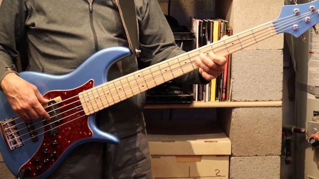 BaggageClaim - MirandaLambert (Bass Cover) смотреть онлайн