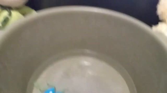 водные животные смотреть онлайн