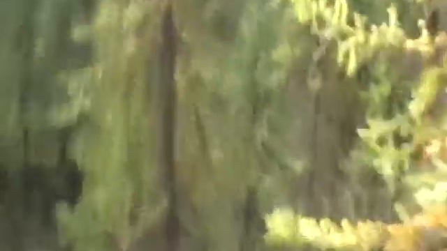 Фото, видео репортаж о работе в Канаде (Британская Колумбия, Юкон) Проходка шурфов экскаватором