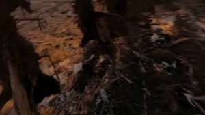 НОЧЁВКА В КАБИНЕ | Трактор К-700 с кабиной Renault Magnum