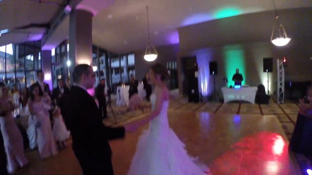 Pitbull Fireball Wedding Reception Entrance Dance Judith and Ronnie смотреть онлайн