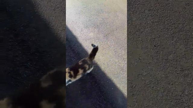 ПопрОсите хорошо,может и зайду,нет!!!на нет и суда нет! смотреть онлайн