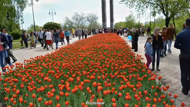 Воронеж  родина  певицы  ЮЛИ  НАЧАЛОВОЙ .