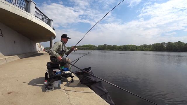 Фидер. Подуст клюет