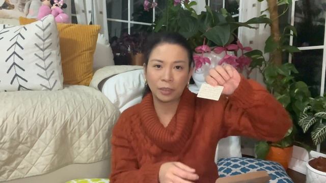 Unboxing My Epipremnum Aureum N’Joy Pothos?| Etsy Plant Order? смотреть онлайн