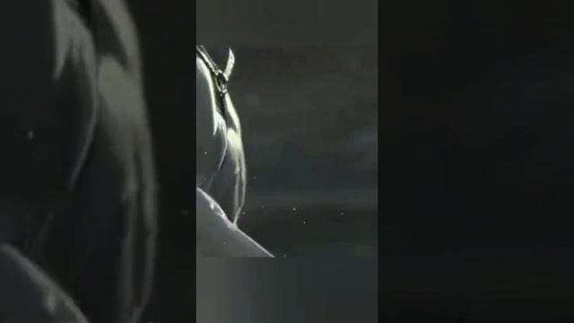 Белладонна.mp4