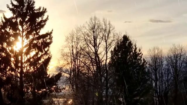 асмр звук осеннего дождя смотреть онлайн