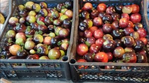 Опустила свои заготовки в погреб и подполье ️)) Сняла последние помидоры !!!