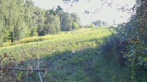 Загородка для уток