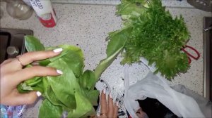 Сажаем салат Фриллис и Ромэн из супермаркета =) Огородик на окошке 21-04-2017