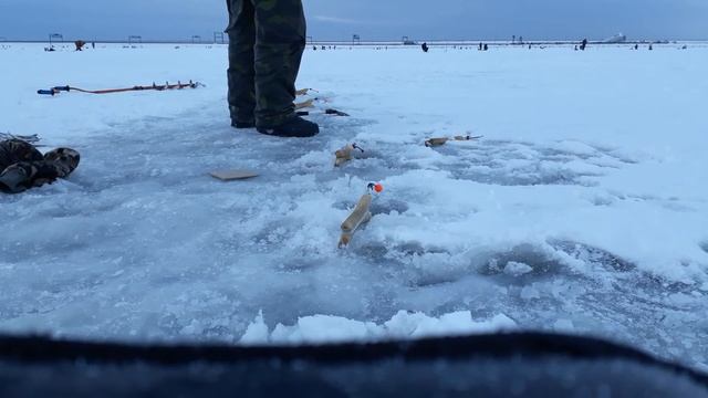 Рыбалка на Дамбе Финского Залива Южная ветка февраль 2018 года смотреть онлайн