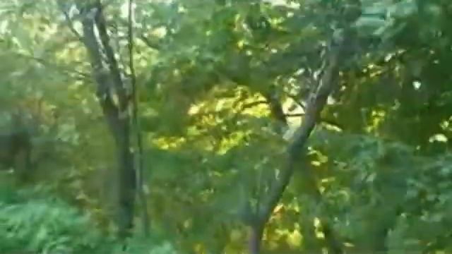 Земля для будівництва 19 сот. в м. Чернівці смотреть онлайн
