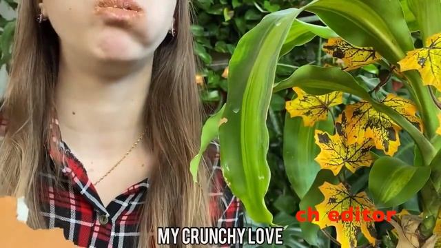 [ASMR] My Crunchy Love (edit) Неделя плиток / Week of tiles / day 5 /сh editor смотреть онлайн