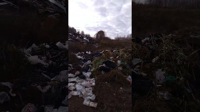 Утилизация мусора в Богородском районе Нижегородской области смотреть онлайн