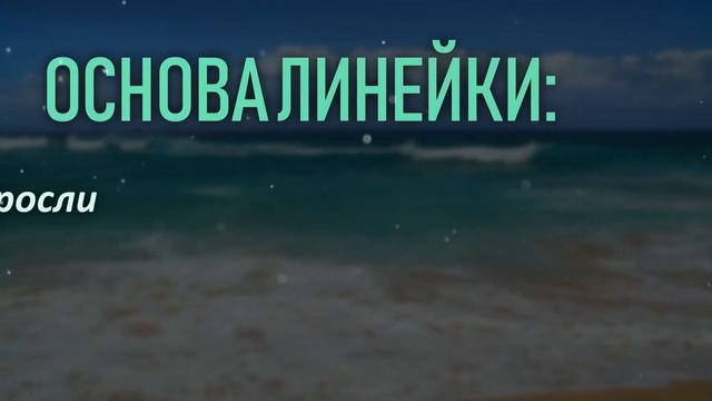 SPA АЛЬГАНИКА - создана морем смотреть онлайн