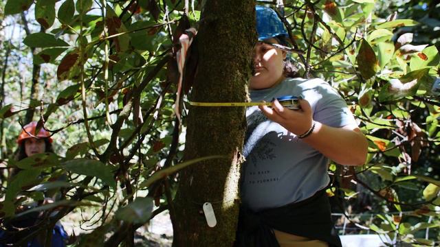 A Brief Introduction to Shadow the Scientists: A Creating Equity in STEAM (CrEST) Initiative смотреть онлайн