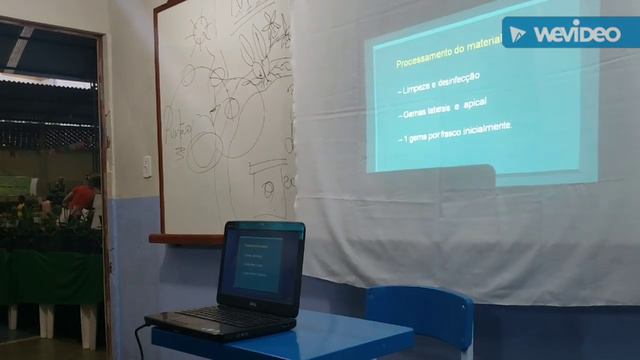 Laboratório Viridescens, Clonagem de Orquídeas смотреть онлайн