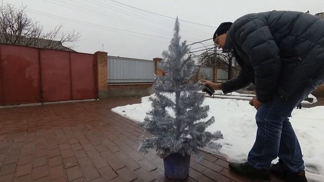 как покрасить искусственную ёлку.