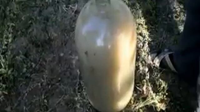 Qo'lbola Vino tayyorlash смотреть онлайн