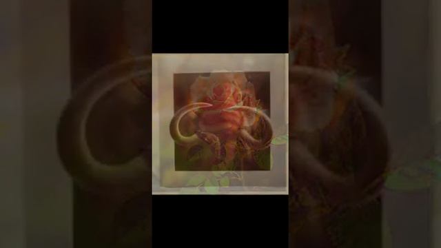 Картины объемные 3 D смотреть онлайн