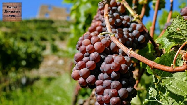 как избавиться за один миг от головной боли без применения аптечных средств