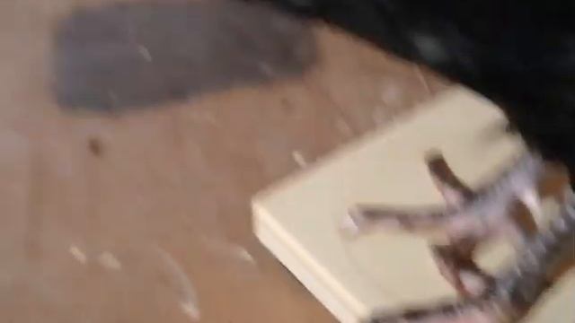 Куры породы Московская черная смотреть онлайн