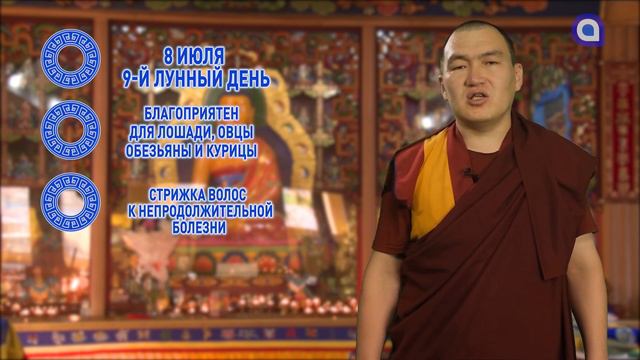 Лошади и овцы, возьмитесь за здоровье смотреть онлайн