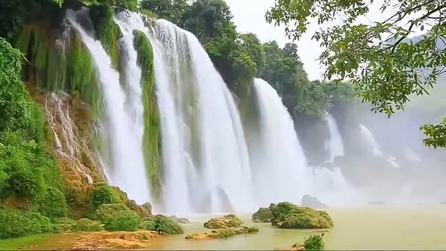 Background Music Saxophone - romantic relaxing saxophone music. music for stress relief, study смотреть онлайн