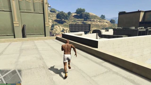 Franklin Collecting SECRET Animal For Zoo in GTA 5 | SHINCHAN and CHOP смотреть онлайн