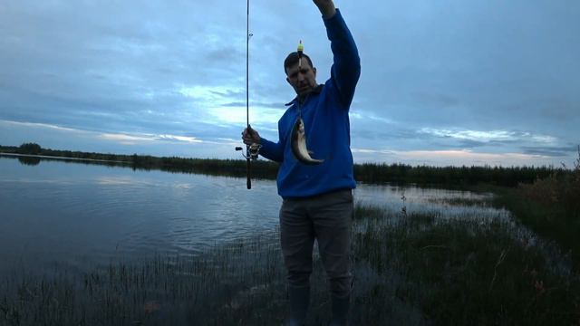Рыбалка во время лесных пожаров.Супер клёв на закате дня. смотреть онлайн