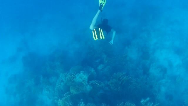 Freediving. Простое погружение. Глубина 7,7м