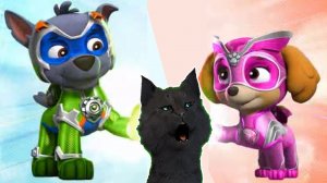 СУПЕР КОТ И СУПЕР СОБАКИ СОБИРАЕМ НЕ ДОСТАЮЩИЕ КОСТОЧКИ    #13 ? Mighty Pups Save Adventure Bay