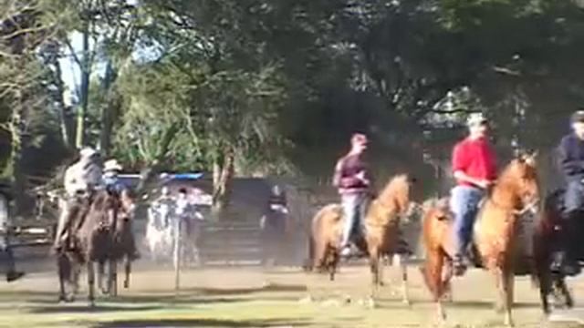 John Lyons And The Paso Fino Horse