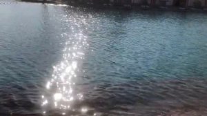 Отель Арабия Азур Хургада подробный обзор турагента