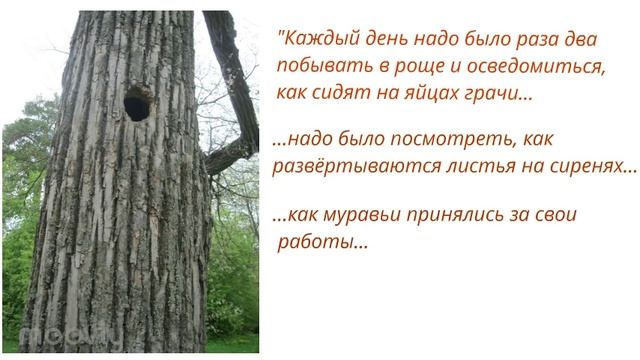 "Детские годы Багрова-внука", Юсин Даниил, 15 лет. смотреть онлайн