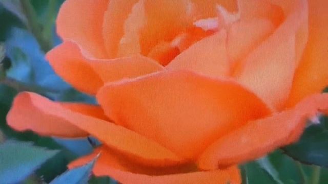 Костя Крамар. Стихи. Дикломация. Музыкальное сопровождение Композитор Эдгар Туниянц смотреть онлайн