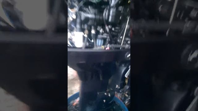 50hp tohatsu смотреть онлайн